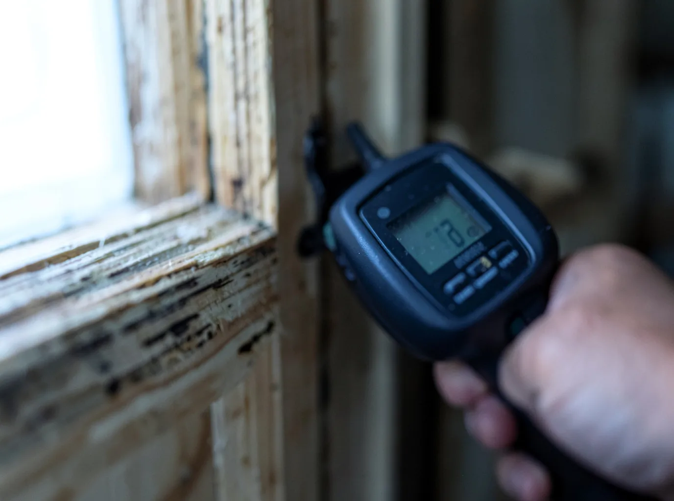Moisture Inspection And Documentation in Edgar Springs, MO